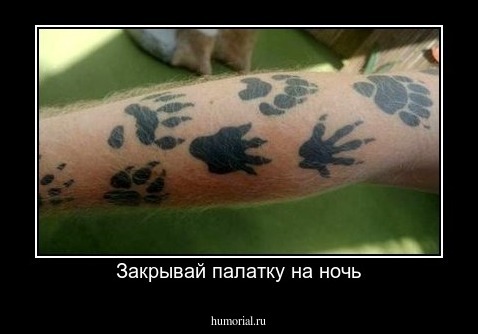 Закрывай палатку на ночь