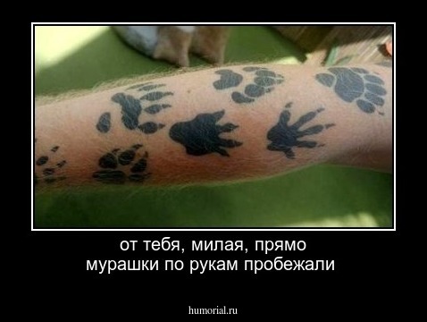 от тебя, милая, прямо мурашки по рукам пробежали