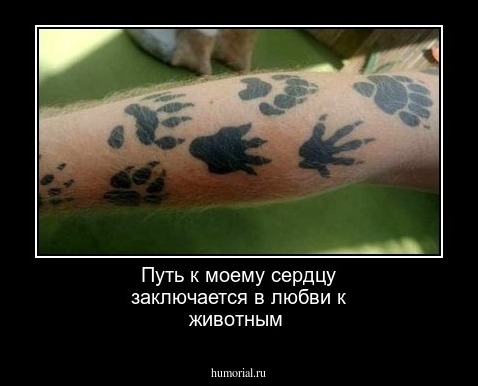Путь к моему сердцу заключается в любви к животным
