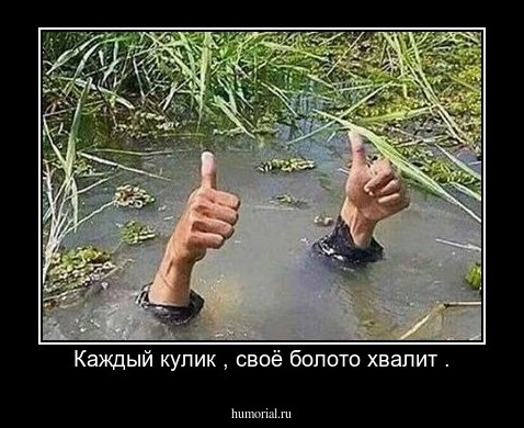 Каждый кулик , своё болото хвалит .