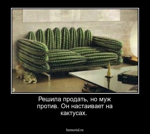 Решила продать, но муж против. Он настаивает на кактусах.