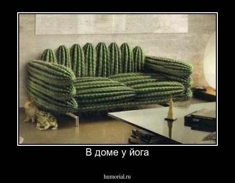 В доме у йога