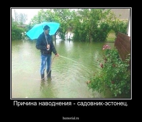 Причина наводнения - садовник-эстонец.