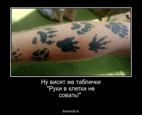 Ну висят же таблички "Руки в клетки не совать!"