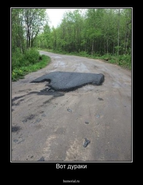 Вот дураки