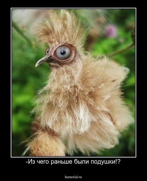 -Из чего раньше были подушки!?