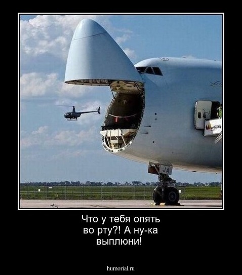 Что у тебя опять во рту?! А ну-ка выплюни!