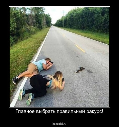 Главное выбрать правильный ракурс!
