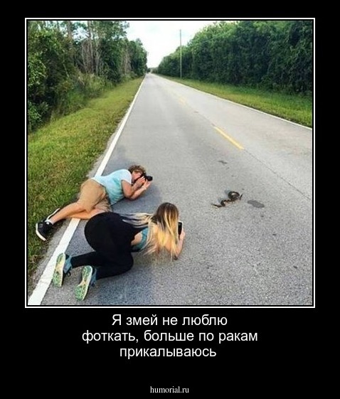 Я змей не люблю  фоткать, больше по  ракам прикалываюсь