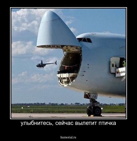 улыбнитесь, сейчас вылетит птичка