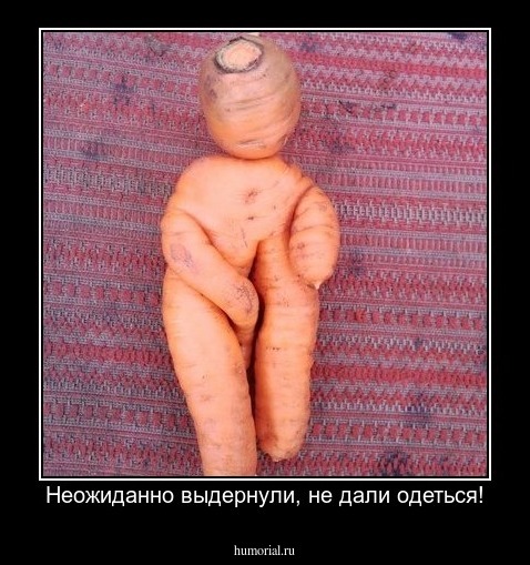 Неожиданно выдернули, не дали одеться!
