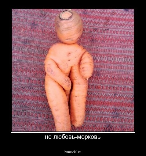 не любовь-морковь