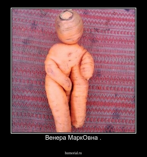 Венера МаркОвна .