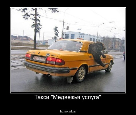 Такси "Медвежья услуга"