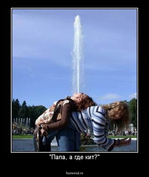 "Папа, а где кит?"