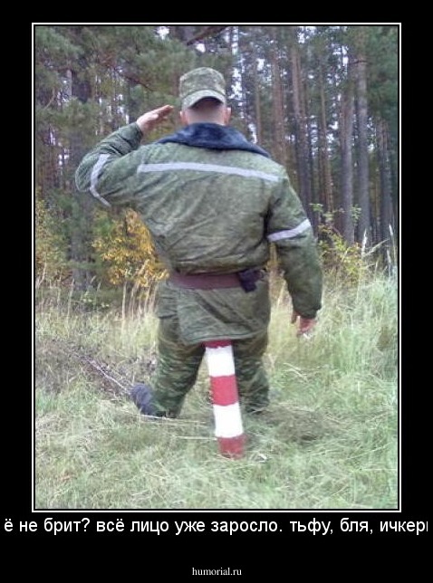 - чё не брит? всё лицо уже заросло. тьфу, бля, ичкерия.