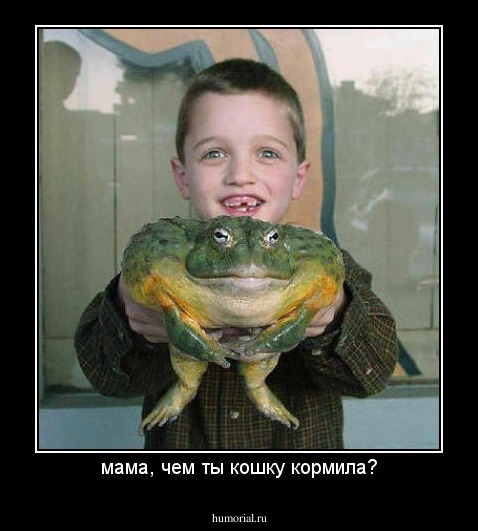 мама, чем ты кошку кормила?