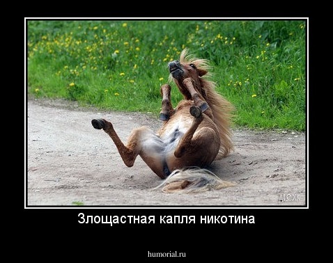Злощастная капля никотина