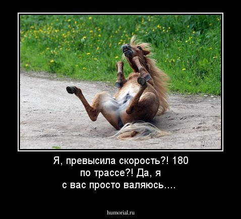 Я, превысила скорость?! 180 по трассе?! Да, я с вас просто валяюсь....