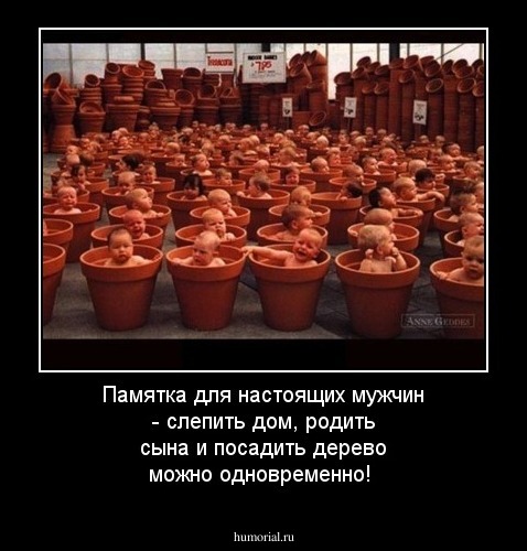 Памятка для настоящих мужчин - слепить дом, родить сына и посадить дерево можно одновременно!
