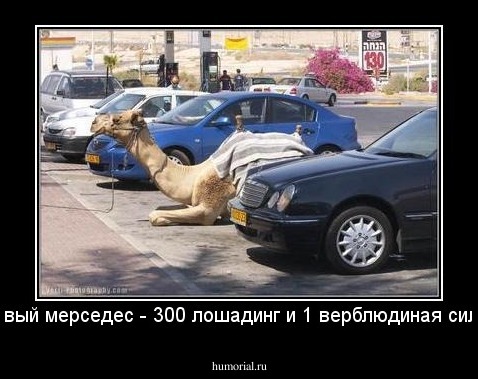 новый мерседес - 300 лошадинг и 1 верблюдиная сила!