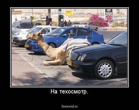 На техосмотр.