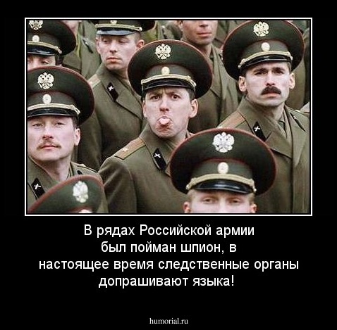 В рядах Российской армии был пойман шпион, в настоящее время следственные органы допрашивают языка!
