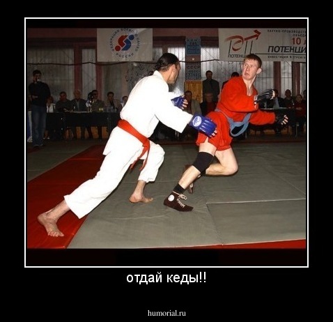отдай кеды!!