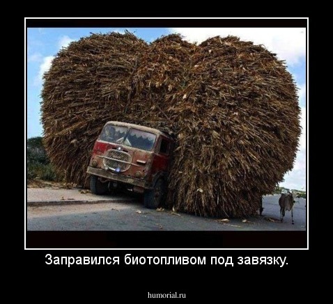 Заправился биотопливом под завязку.