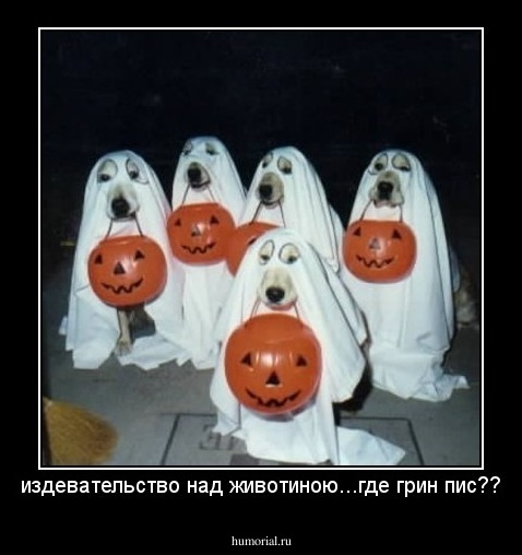 издевательство над животиною...где грин пис??