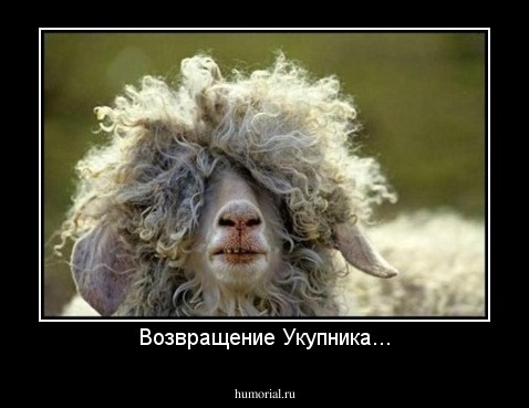 Возвращение Укупника...