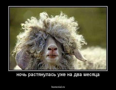 ночь растянулась уже на два месяца