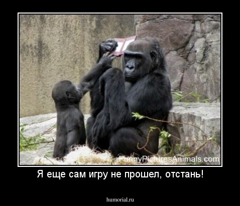 Я еще сам игру не прошел, отстань!