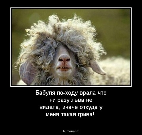 Бабуля по-ходу врала что ни разу льва не видела, иначе откуда у меня такая грива!