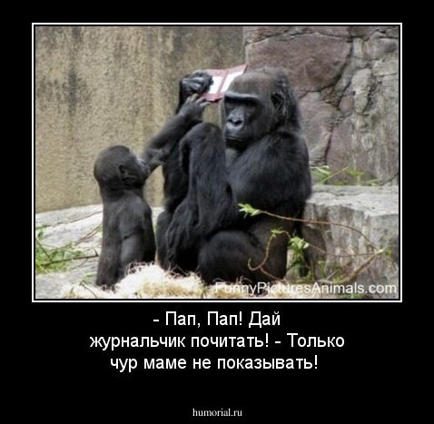 - Пап, Пап! Дай журнальчик почитать!
- Только чур маме не показывать!