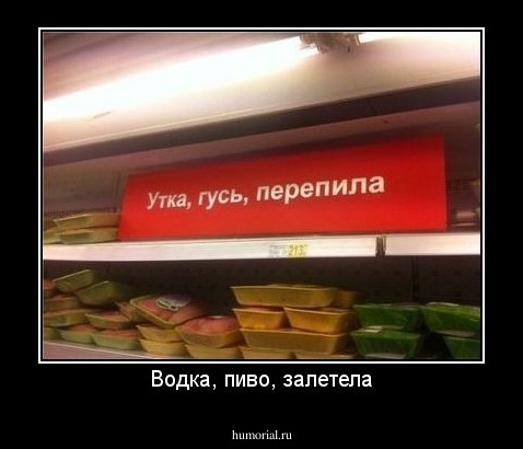 Водка, пиво, залетела