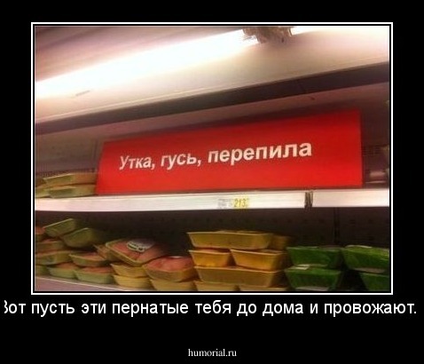 Вот пусть эти пернатые тебя до дома и провожают...
