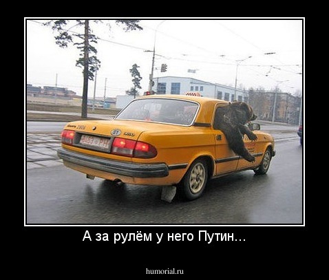 А за рулём у него Путин...