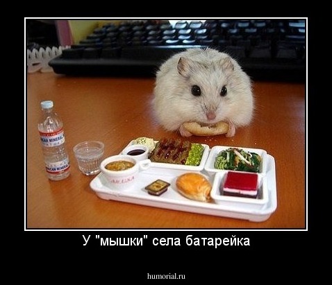 У "мышки" села батарейка