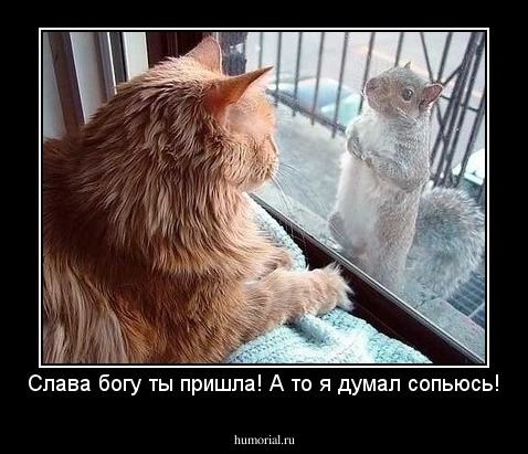 Слава богу ты пришла! А то я думал сопьюсь!