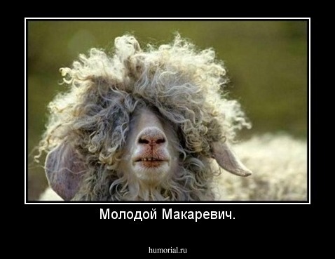 Молодой Макаревич.