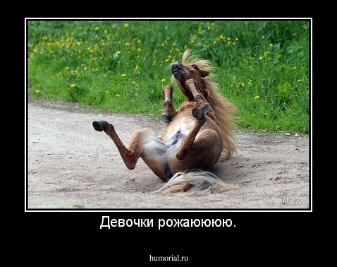 Девочки рожаюююю.