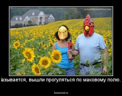 Называется, вышли прогуляться по маковому полю...