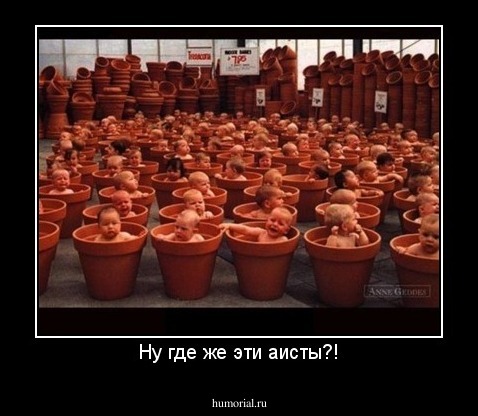 Ну где же эти аисты?!