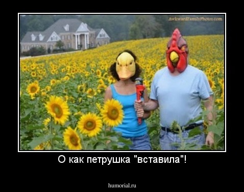 О как петрушка "вставила"!