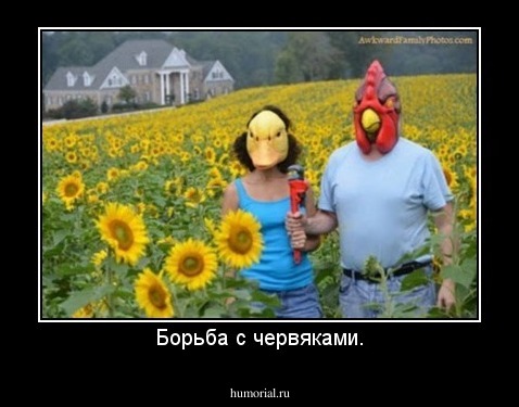 Борьба с червяками.
