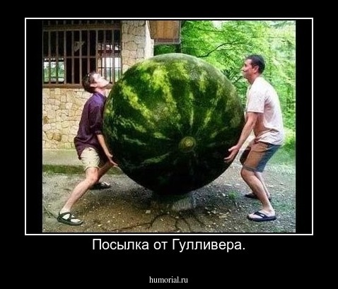 Посылка от Гулливера.