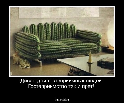 Диван для гостеприимных людей. Гостеприимство так и прет! 