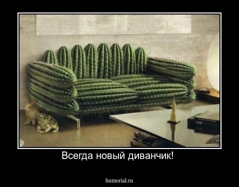 Всегда новый диванчик! 