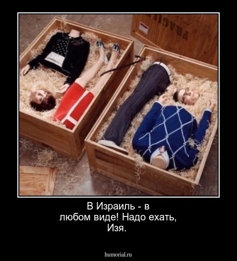 В Израиль - в любом виде! Надо ехать, Изя.
